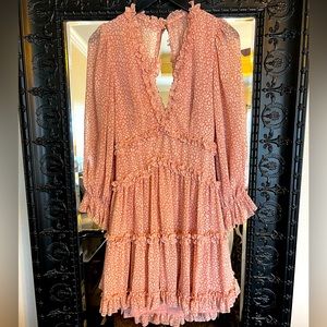 Animal print long sleeve mini dress